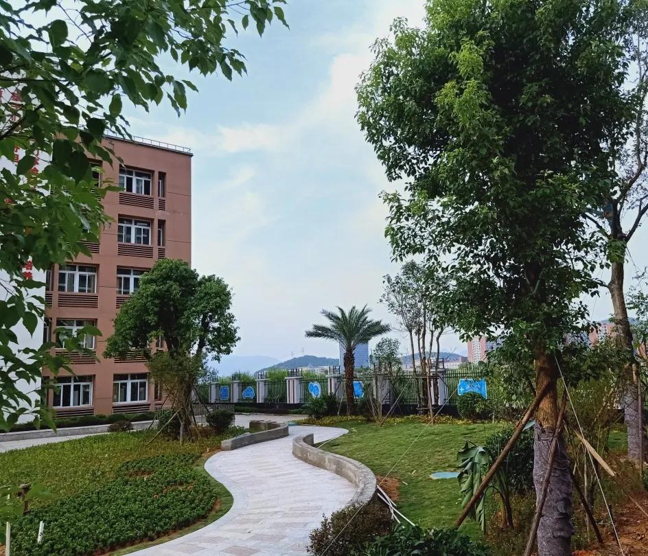 东侨：“新合”教育创新卓越——福建师范大学东侨实验小学简介