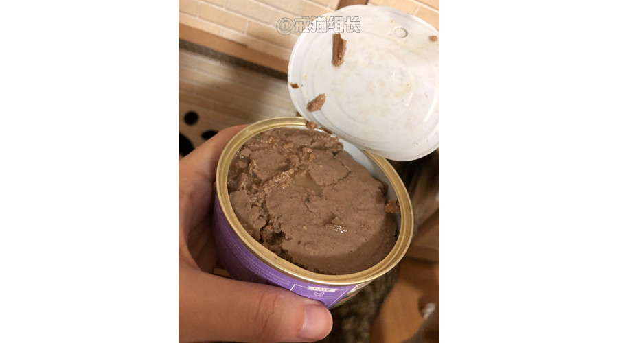 k9幼猫罐头推荐,k9巅峰猫粮