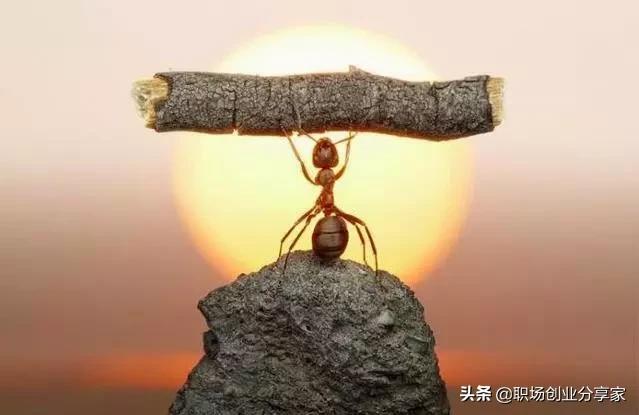 犹太人经商套路教你做生意,犹太人经商智慧做生意赚钱的法则