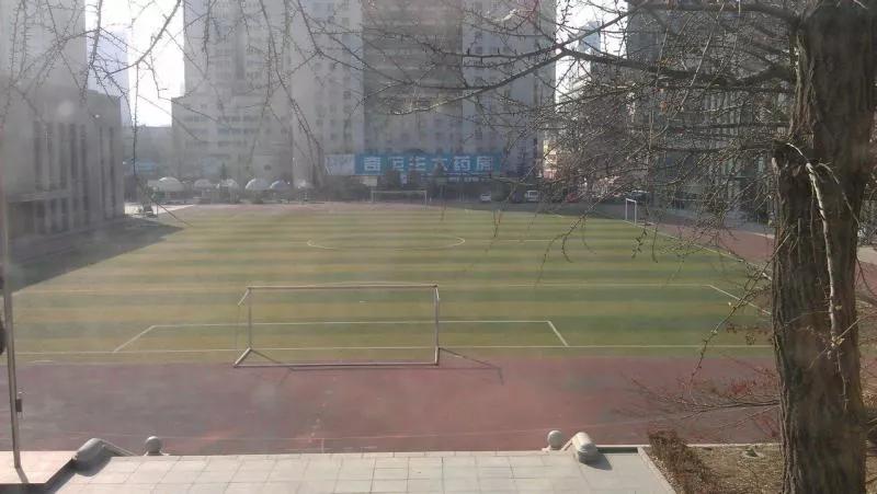 大连市第八高级中学,大连市第八中学天台事件