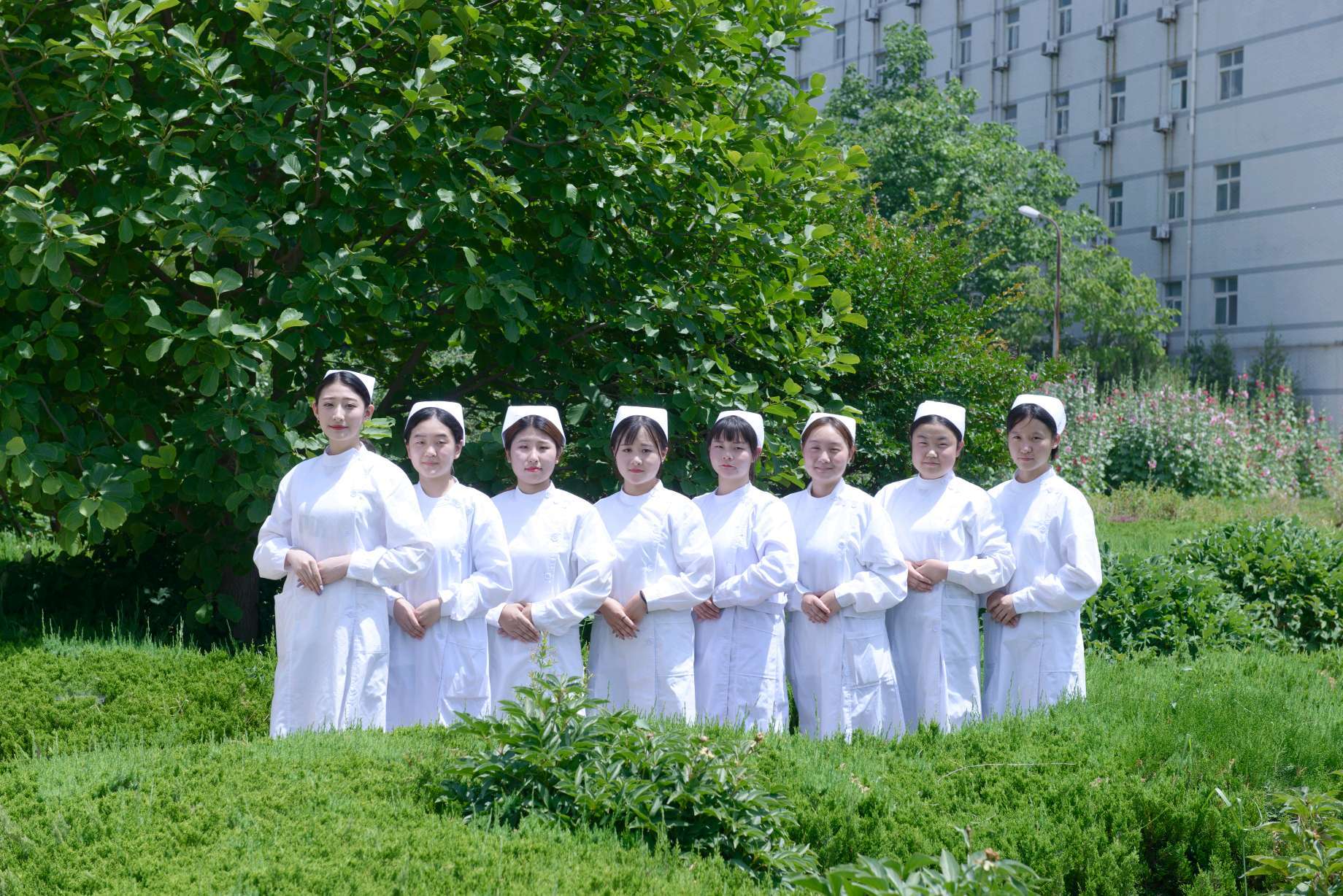 青岛卫校护考通过率,青岛胶州卫校今年录取分数线