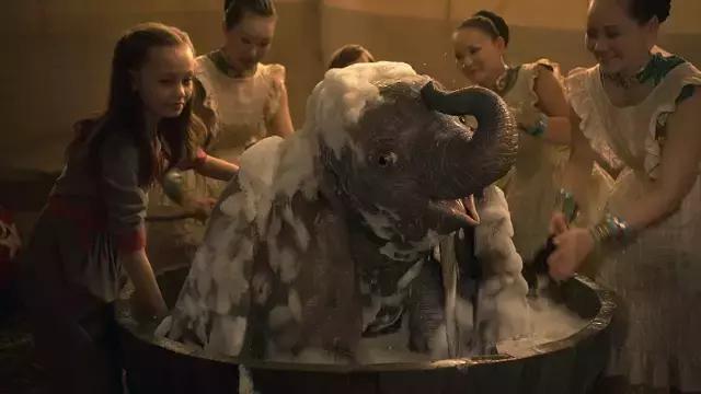 小飞象伊娃格林高清壁纸,小飞象伊娃格林