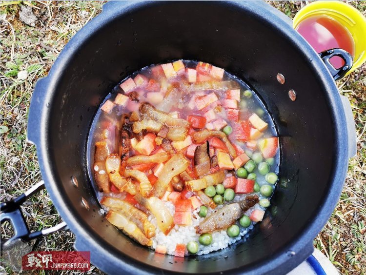 snowline雪线高压锅,snowline电压力锅