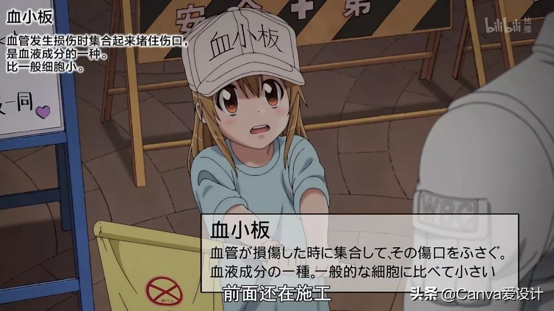 最新野生文案大全,看野生动物发的文案