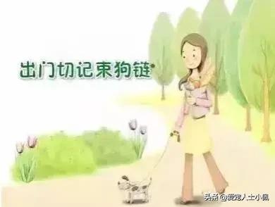 养狗需要具备哪些条件,养狗需要哪些条件