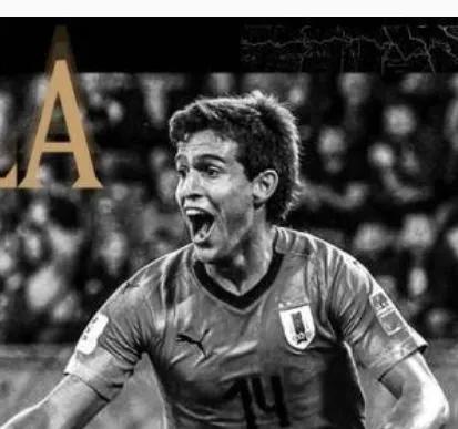 乌拉圭国家队赛程表最新,乌拉圭世界杯阵容预测