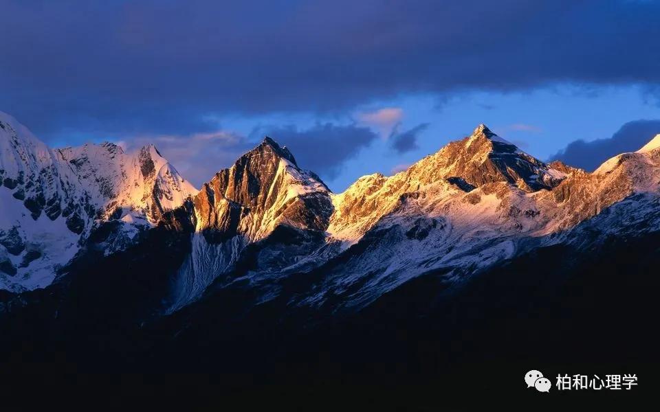 乘风破浪的姐姐最后排名,乘风破浪的姐姐性格分析