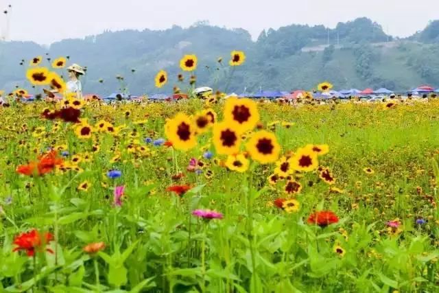 下半年旅行最佳时间表,2023最佳旅游时间表