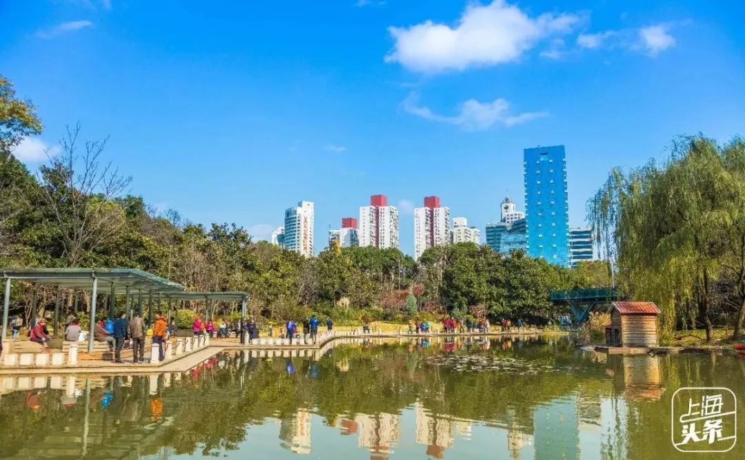 上海宋城免费景点,上海一日游攻略必去景点免费