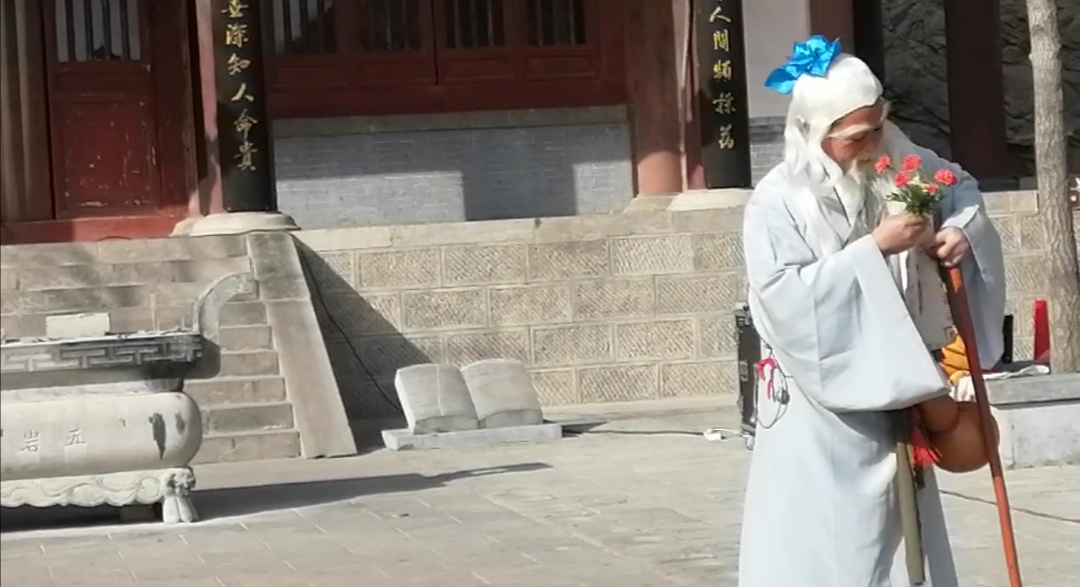 海拔500多米高山,500多米高山出现罕见一幕