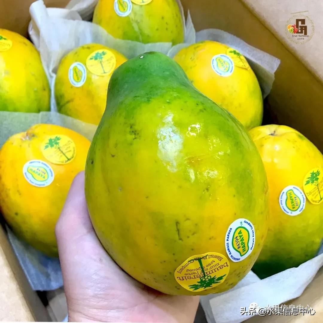 进口水果生意年入千万,批发水果月入百万