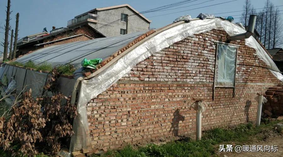 三大案例,带你走进农业种植大棚、畜牧养殖和水产养殖供热市场