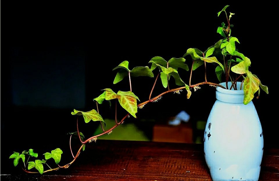 八年级英语常考词汇,英语完形常考单词