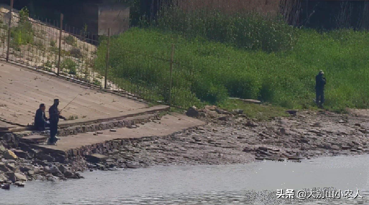 甲鱼枪打甲鱼浮头打什么位置,甲鱼枪打甲鱼全过程