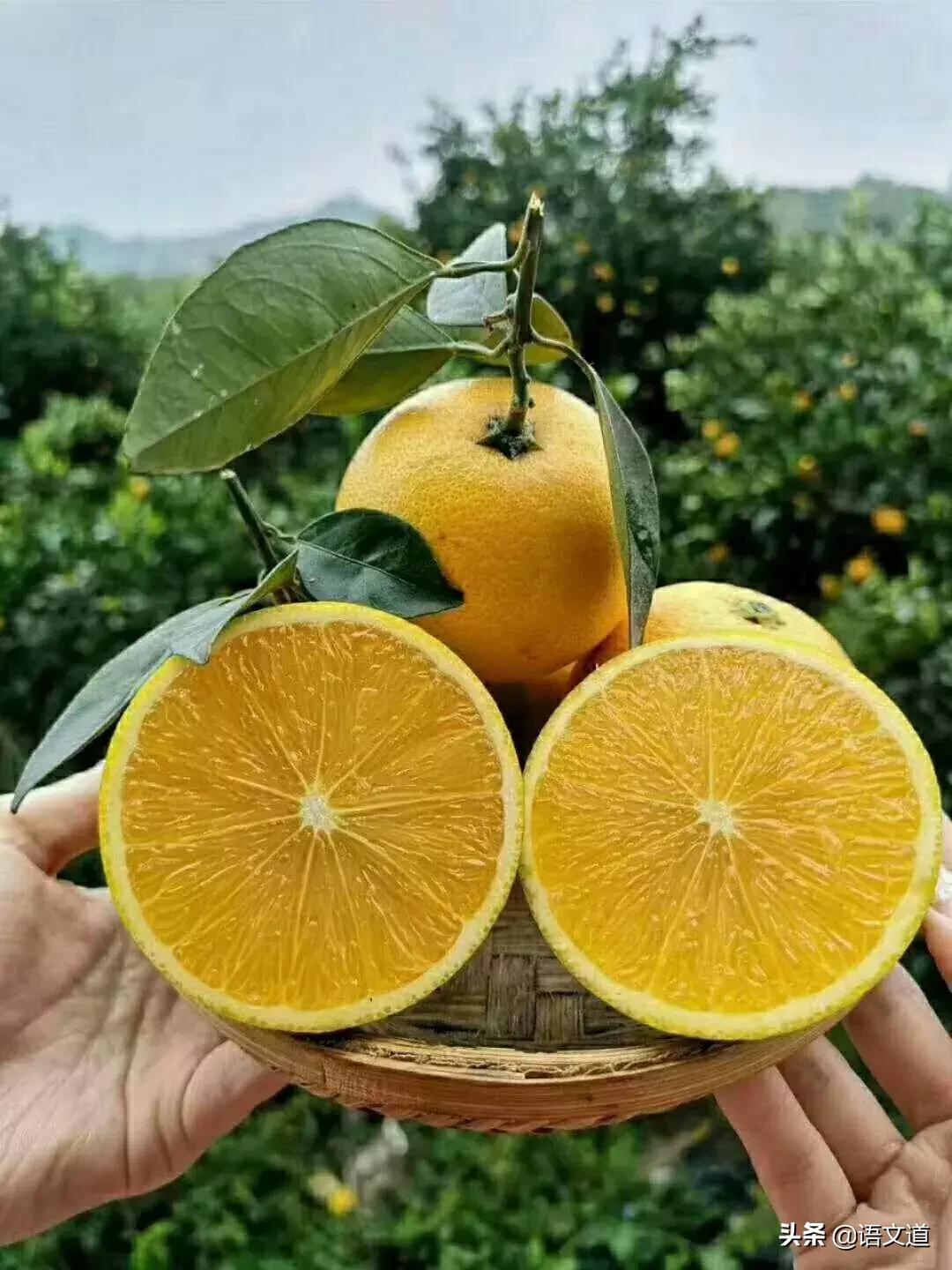 高中物理太难学听听高人怎么说,高中物理到底多难学