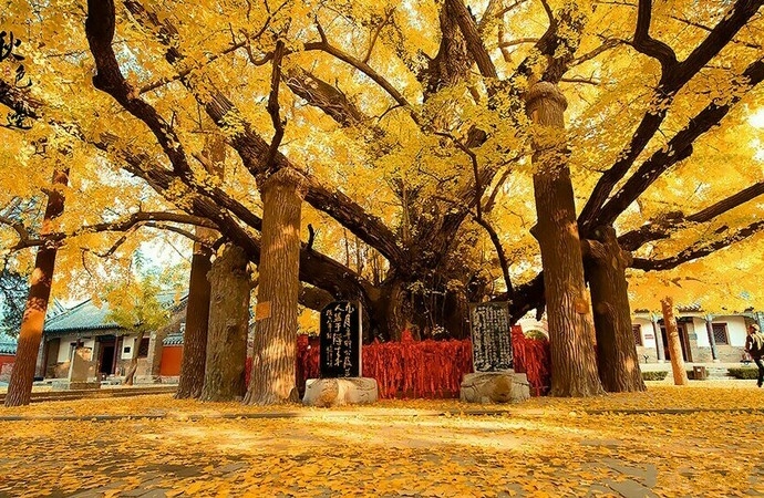 山东最安静的海边小镇,山东消费最低的海边小镇