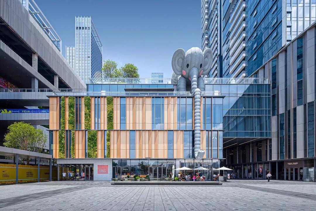 特区40周年发展情况,特区建设40周年