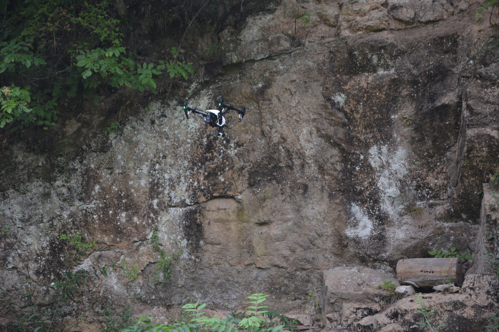 野蜂的口粮极为珍稀，一年等一次，再危险我们也要去“盗”一些！