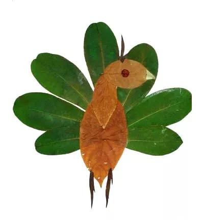 有多少种各种各样的小动物呢,用落叶做可爱的小动物