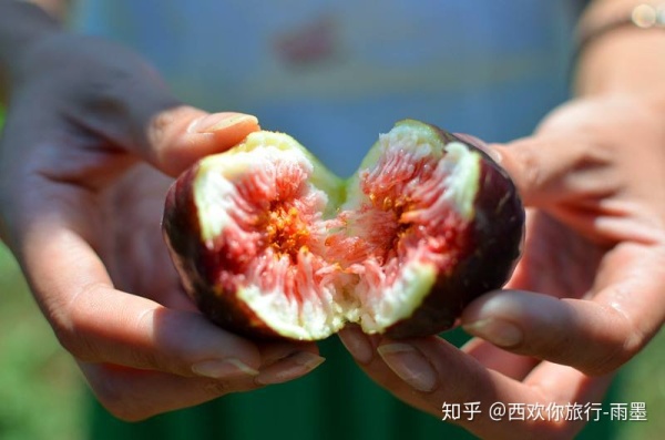 *疆新**瓜果攻略最好的季节配最美味的水果