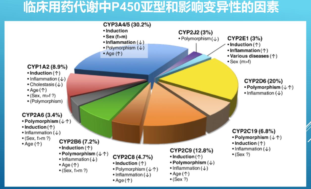 代谢组学作用指哪些,代谢组学的概述及研究进展