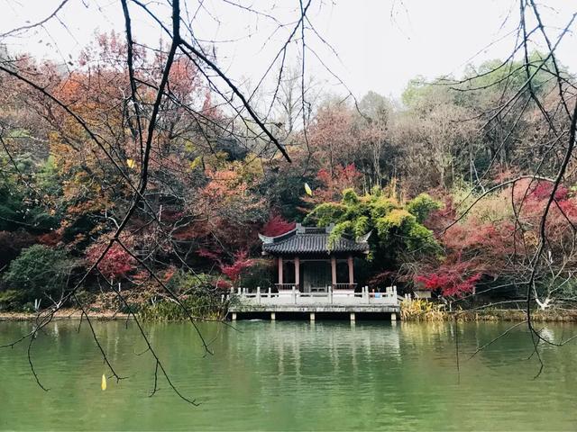 南京秋天旅行攻略,来南京体验秋天浪漫