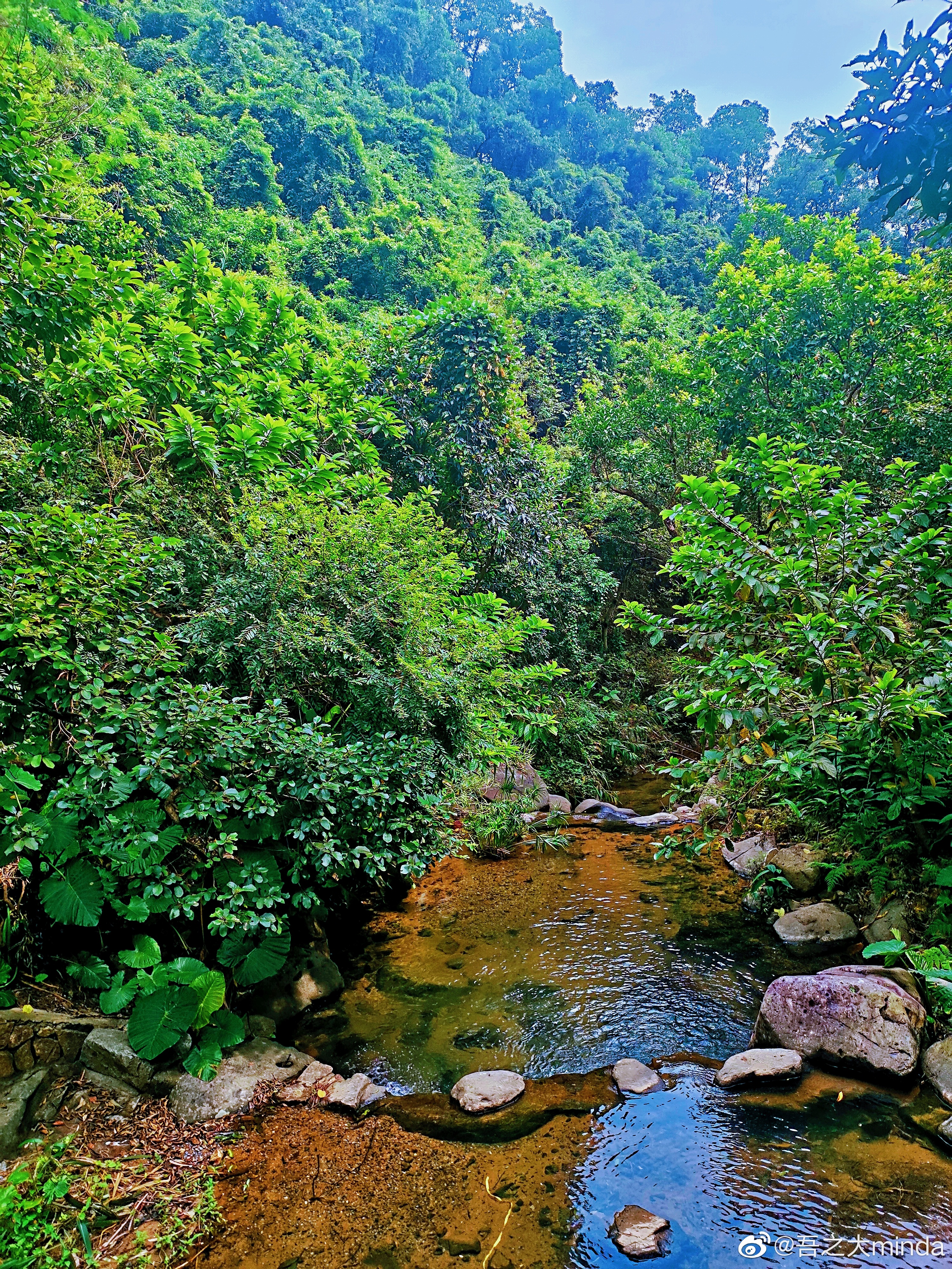 梧桐山下幽径,梧桐山下清风明月