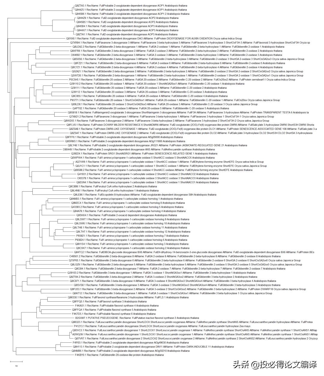 生物学应用软件,制作生物进化树的软件