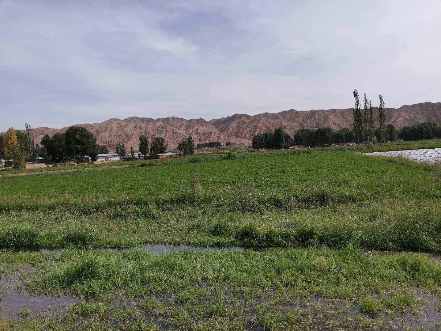 鬼哥的五万里D19金昌市永昌县-张掖市山丹县