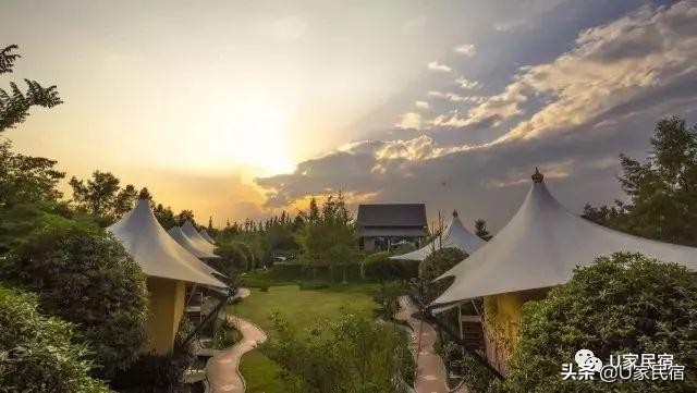 成都首家野奢帐篷酒店，高颜值避世野宿，帐篷听雨树屋观星