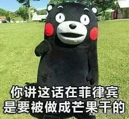 传媒艺考才艺展示舞蹈,艺考好学的非语言类才艺展示