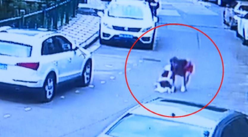 紧急提醒一周接诊超500例,已进入秋冬季呼吸道传染病高发季