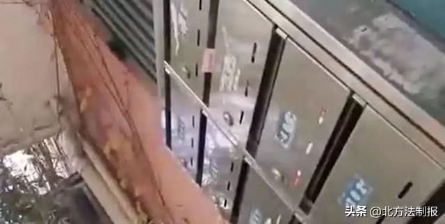 触目惊心的餐饮后厨,记者暗访胎盘作坊