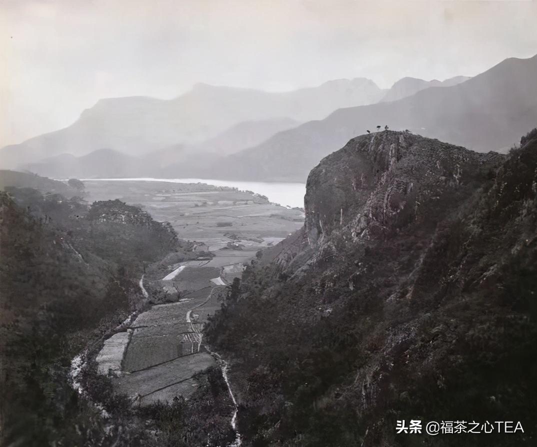 岩茶价格到底贵不贵？——从历史岩茶价格看当今岩茶价格