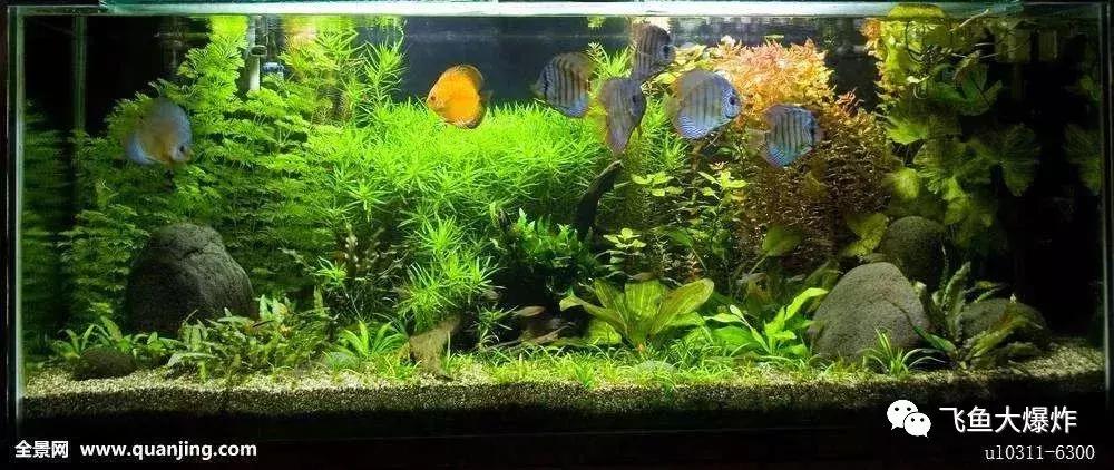 臭氧除菌，你用过吗？