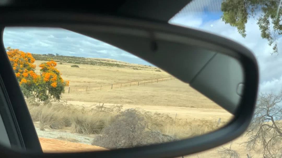 这地方是男人天堂,我们的大宝马也怕了