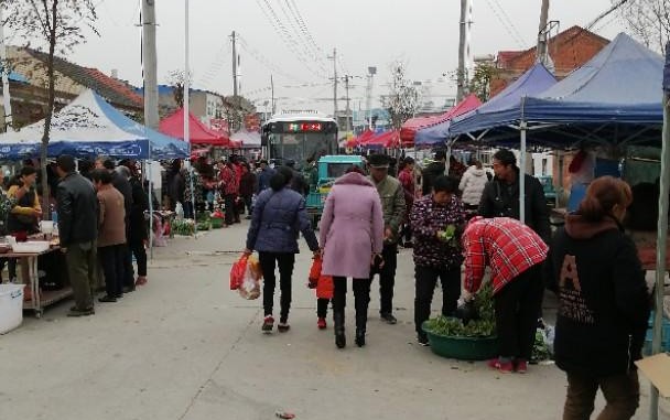 安徽定远藕塘豆腐乳,安徽滁州豆腐乳咋做