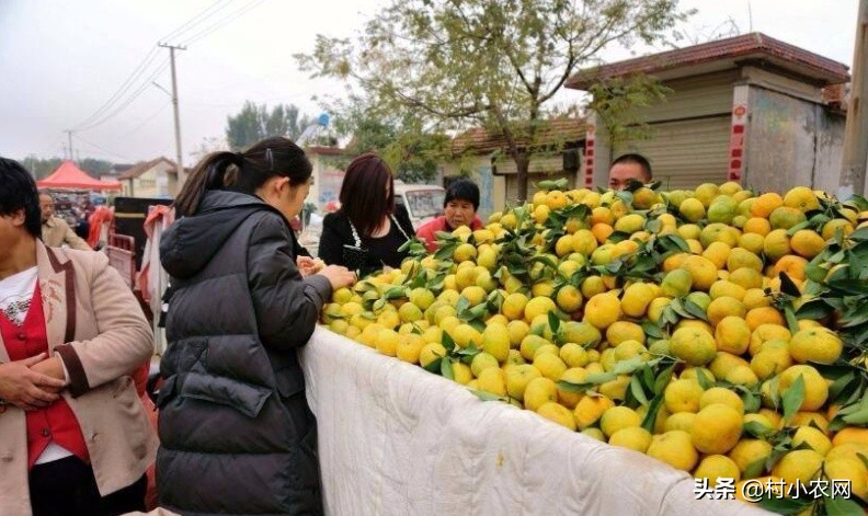 怎么创业做煎饼店铺赚钱,创业小白做山东杂粮煎饼能赚钱吗