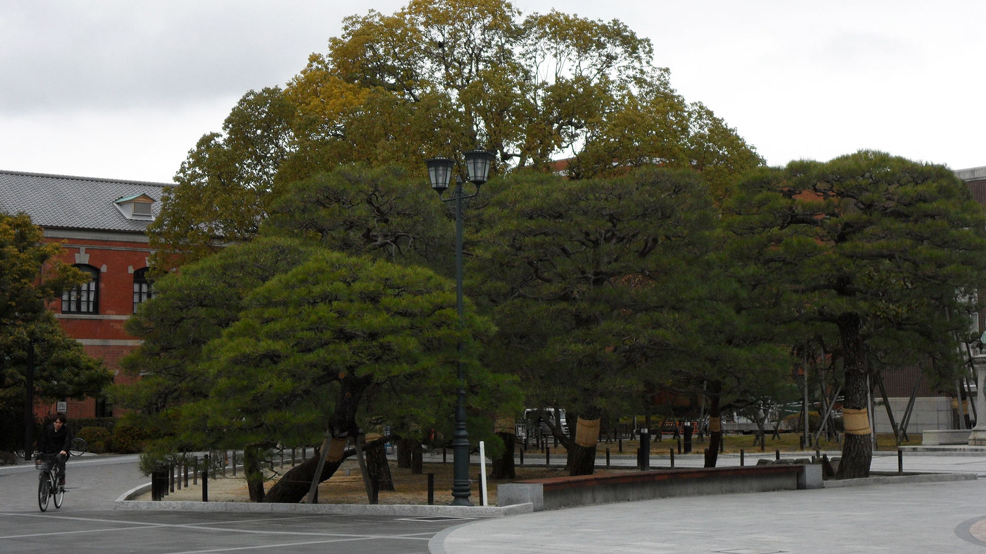日本留学一年费用是多少人民币,日本高中留学费用一览表