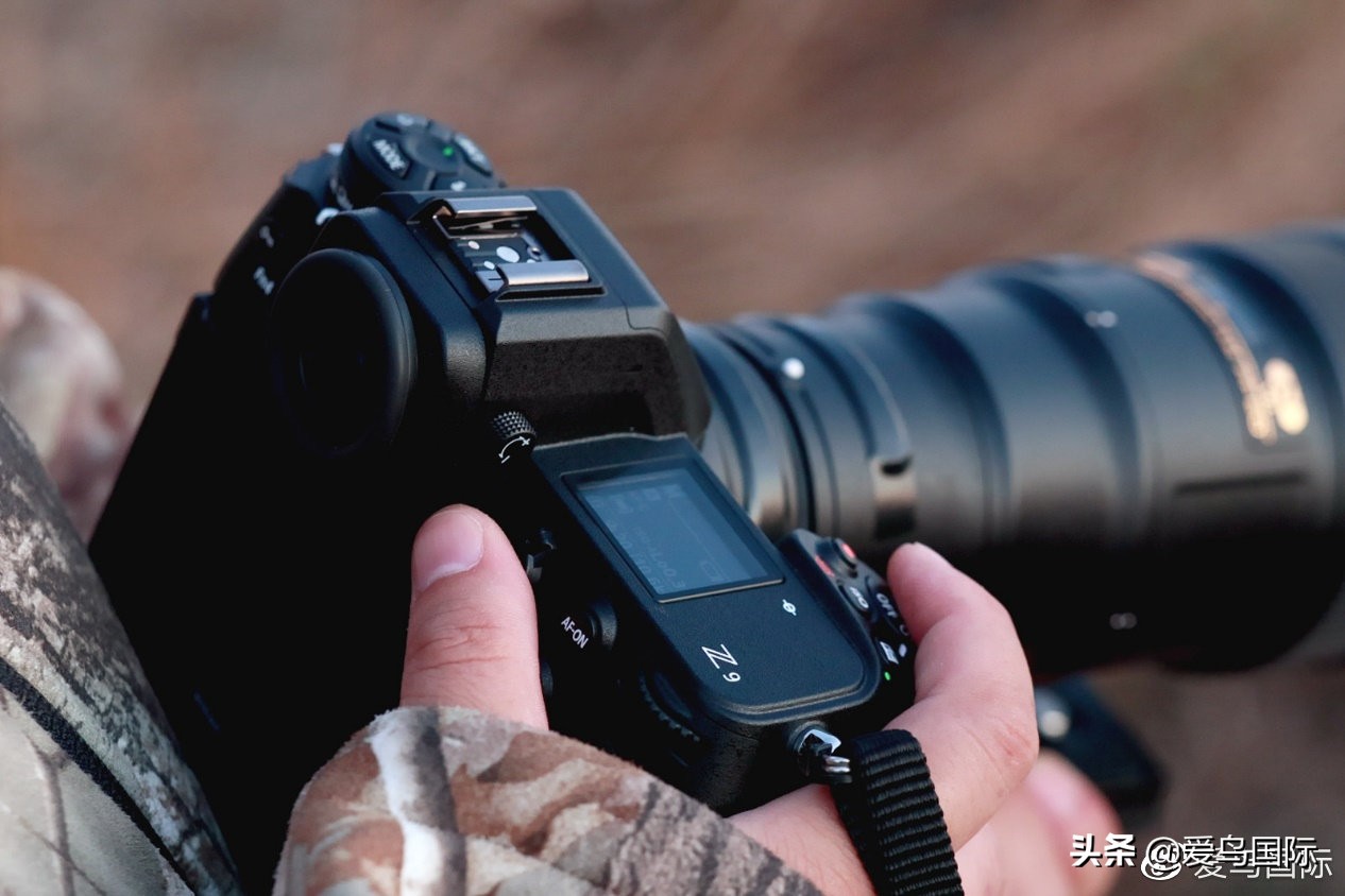 尼康z9有希望更新人像模式吗,尼康z9为什么适合打鸟
