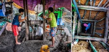 缅甸琥珀复原过程,缅甸琥珀中发现化石