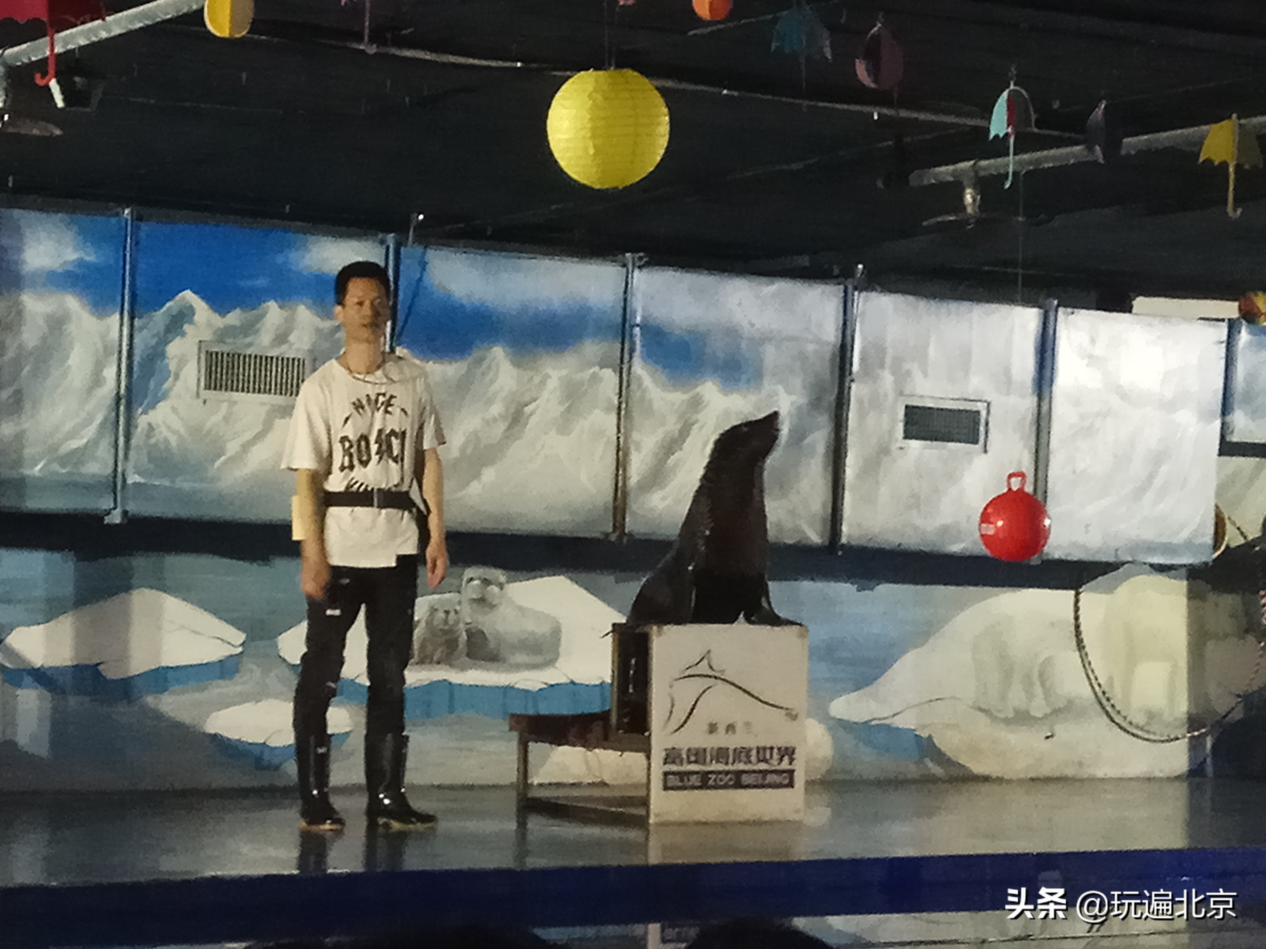 海洋世界海底探秘,海底世界都有哪些奥秘