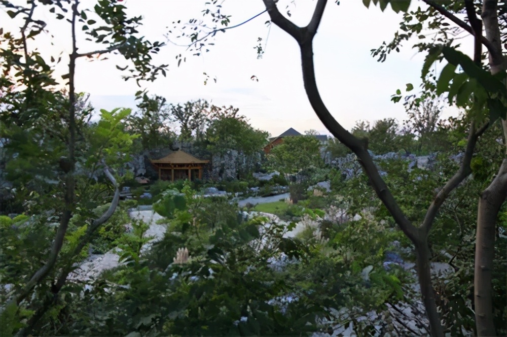 崇明岛西沙湿地公园视频,崇明西沙湿地公园芦苇荡