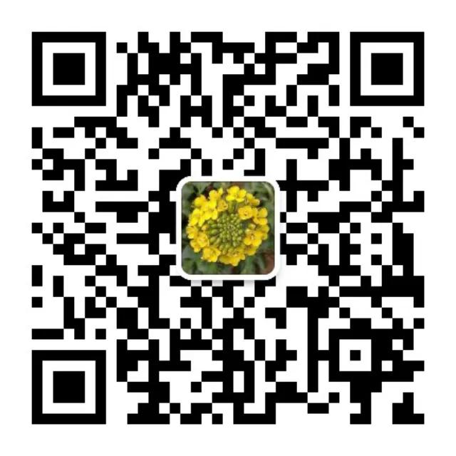 蜂蜜浓度视频,测蜂蜜浓度仪器