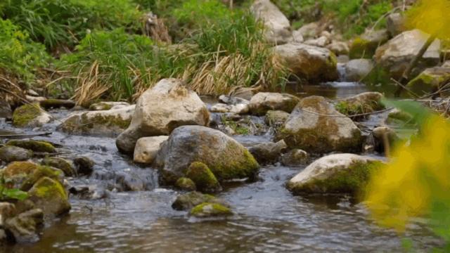 汉中周边踏青的好地方有哪些,汉中乡村游秘境