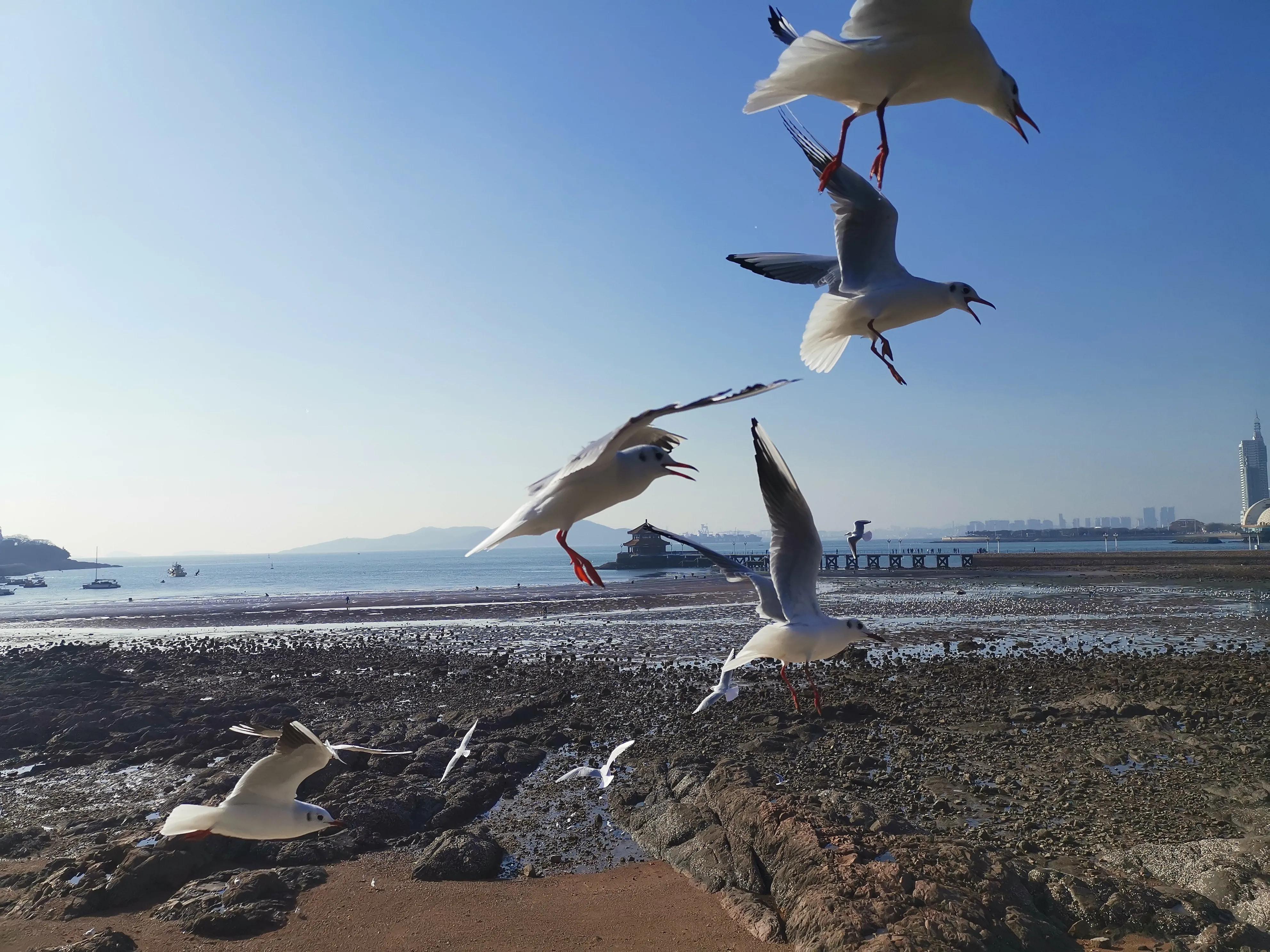 感慨别人忘了自己的生日,时间长了都忘记了自己的生日