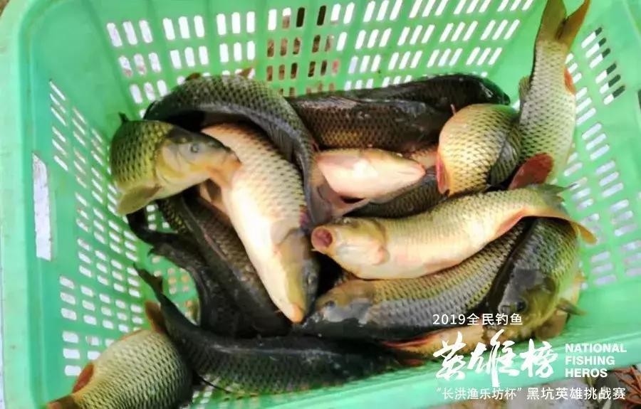 钓黑坑最大奖励,黑坑最高奖励500万