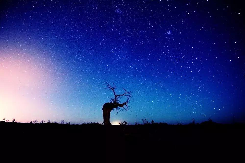 额济纳旅游自由行攻略,额济纳旗旅游最佳省钱攻略