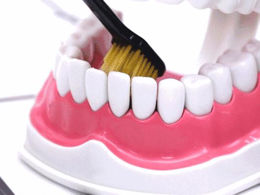 鏃ユ湰绁栧瓩涓変唬,鏃ユ湰濂堣壇鐗欏埛