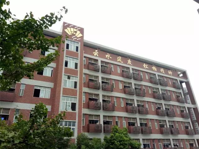 重庆渝北区松树桥中学简介,重庆松树桥中学2021